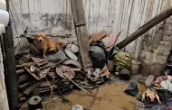 �LO PERDI� TODO! Abuelito qued� en situaci�n vulnerable tras feroz incendio en Huaral: sus perritos quedaron en la calle