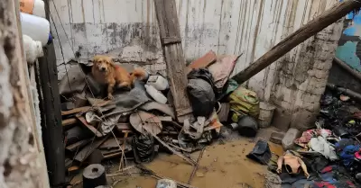 Abuelito pierde su vivienda tras incendio en Huaral