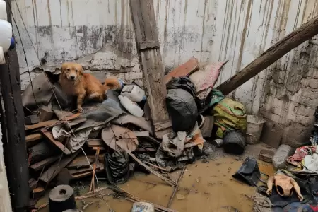 Abuelito pierde su vivienda tras incendio en Huaral