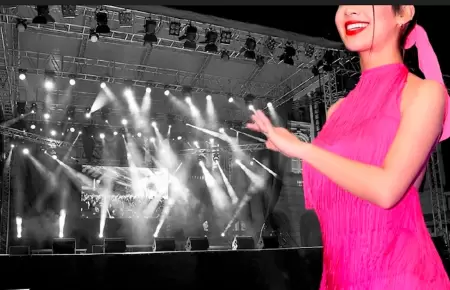 Cantante de Amor Rebelde se aleja de los escenarios.
