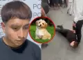 Ladr�n detenido junto a banda criminal en El Agustino justific� asalto: "Robo por mi perrito que est� mal jefe"