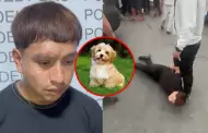Ladr�n detenido junto a banda criminal en El Agustino justific� asalto: "Robo por mi perrito que est� mal jefe"