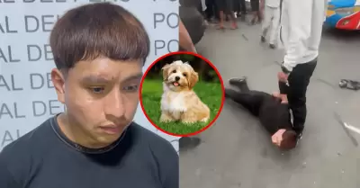 Ladr�n justific� robo por salud de su perro