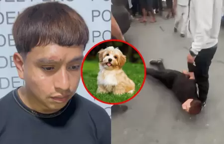 Ladr�n justific� robo por salud de su perro