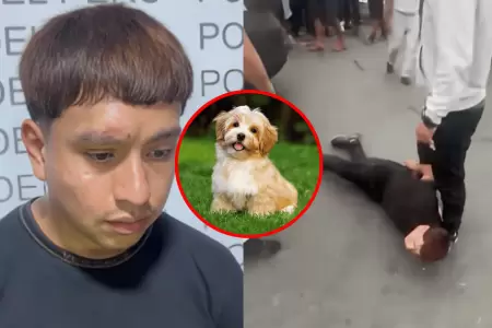 Ladr�n justific� robo por salud de su perro