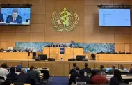 Asamblea Mundial de la Salud: Per� reafirma su compromiso por una salud m�s humana y equitativa
