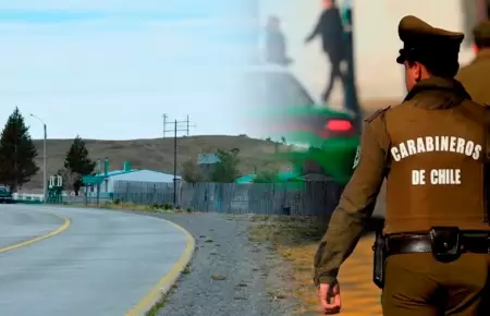 Carabineros ejecutaron el disparo.