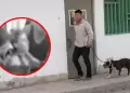 Comas: mujer permanece internada en un hospital tras ser atacada por un perro pitbull en el sector de Collique