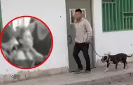 Comas: mujer permanece internada en un hospital tras ser atacada por un perro pitbull en el sector de Collique