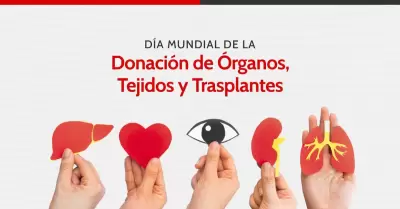 D�a Nacional del Donante de �rganos, Tejijos y Trasplantes