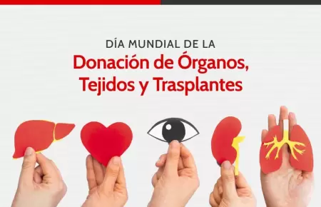 D�a Nacional del Donante de �rganos, Tejijos y Trasplantes