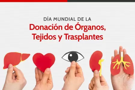 D�a Nacional del Donante de �rganos, Tejijos y Trasplantes