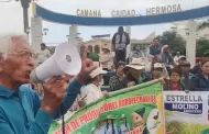 Productores de arroz de Arequipa inician huelga indefinida y exigen renuncia del titular del MIDAGRI