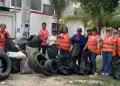 Cajamarca: eliminan m�s de 35 toneladas de potenciales criaderos del zancudo transmisor del dengue