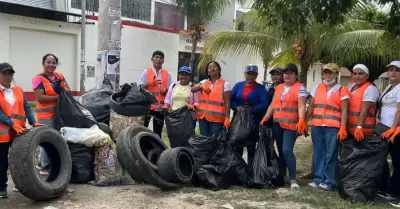 Cajamarca: eliminan m�s de 35 toneladas de potenciales criaderos del zancudo tra