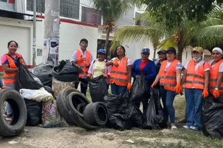 Cajamarca: eliminan m�s de 35 toneladas de potenciales criaderos del zancudo tra