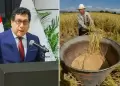 Gobierno destinar� S/150 millones para apoyar a productores arroceros mediante Decreto de Urgencia