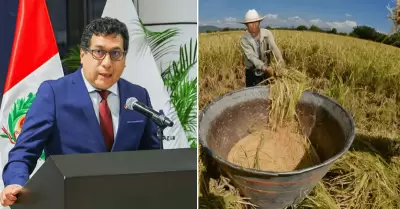 Gobierno destinar� S/150 millones para apoyar a productores arroceros