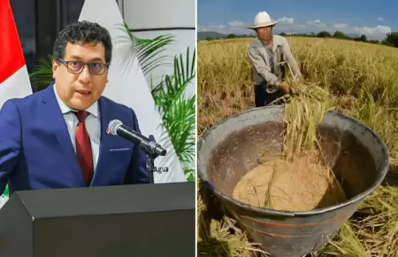 Gobierno destinar� S/150 millones para apoyar a productores arroceros
