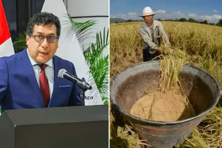 Gobierno destinar� S/150 millones para apoyar a productores arroceros