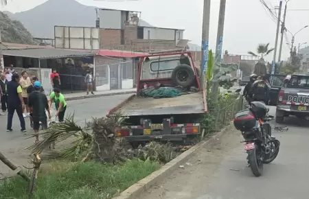 Tr�iler se despist� en Pasamayito dejando dos heridos en Comas.