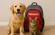 Municipalidad de Miraflores presenta la mochila de emergencia para mascotas: �qu� elementos debe contener?