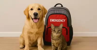 Municipalidad de Miraflores presenta mochila de emergencia