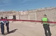 Terror en Arequipa: Anciana de 72 a�os pierde la vida tras ser atacada por jaur�a de perros en Cerro Colorado