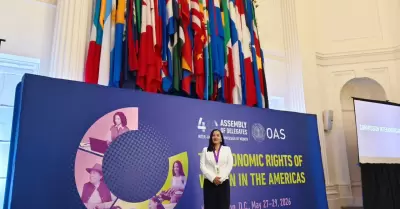 Per� es elegido miembro del Comit� Directivo del CIM ante la OEA.