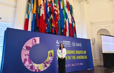 Per� es elegido miembro del Comit� Directivo del CIM ante la OEA.