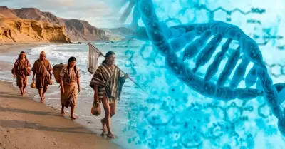 El estudio se hizo con ADN antiguo de migrantes preincaicos.