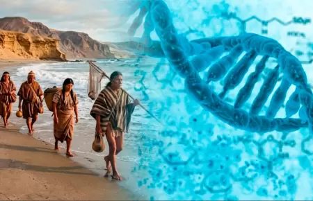 El estudio se hizo con ADN antiguo de migrantes preincaicos.