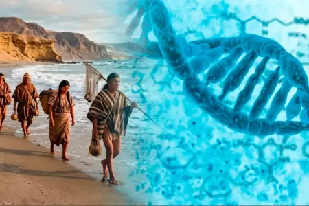 El estudio se hizo con ADN antiguo de migrantes preincaicos.