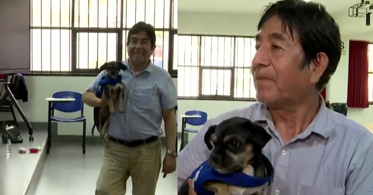Fiel hasta el final: perrito acompaña a su dueño tras quedarse como miembro de mesa