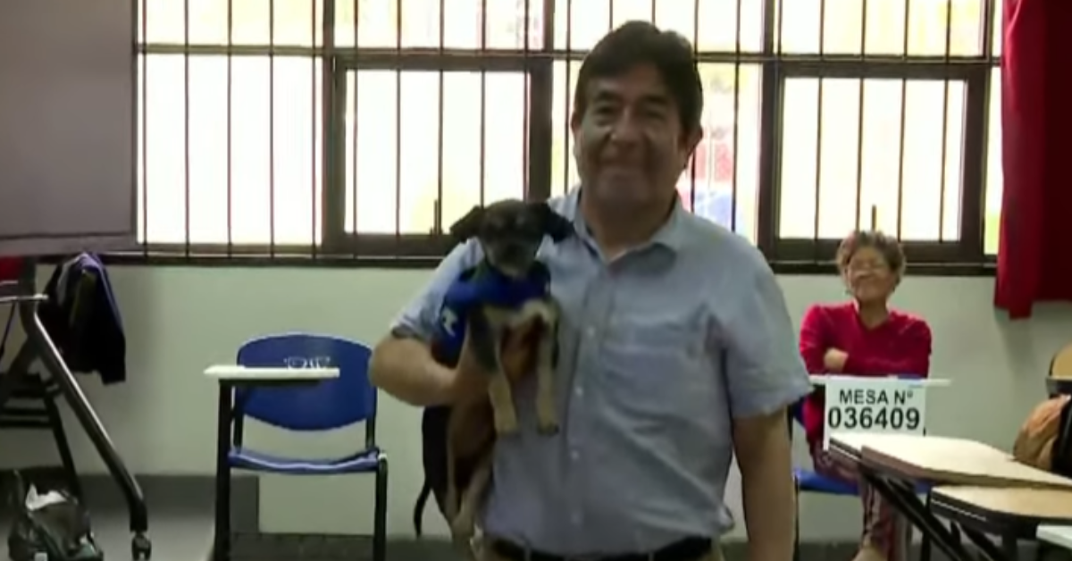 Perrito acompaña a su dueño para que cumpla con la responsabilidad de ser miembro de mesa