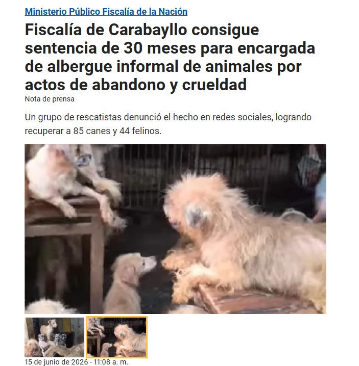 Reporte de prensa sobre la sentencia.