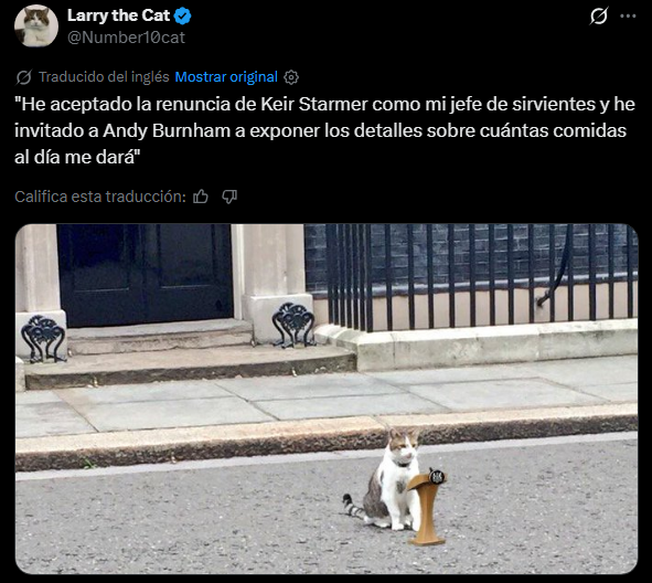 El famoso gato se prepara para para recibir al nuevo primer ministro.