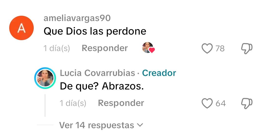 Comentario en la publicación de Lucía Covarrubias