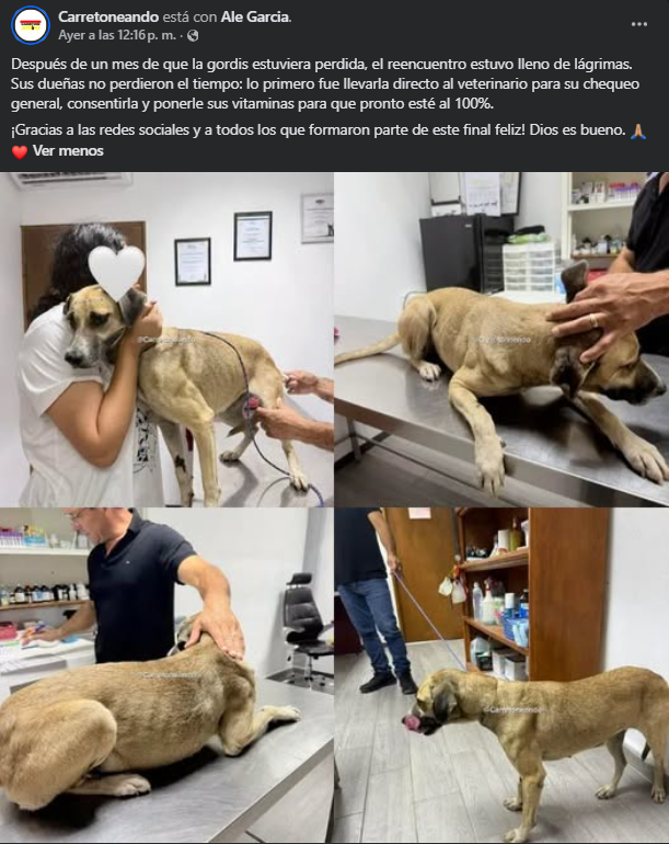 Due�a de "Gorda" la llev� al veterinario tras su reencuentro.
