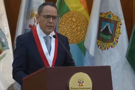 Helder Dom�nguez asume la presidencia del TC