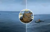 Cocodrilo sorprende en plena competencia infantil de natación en la playa y desata pánico