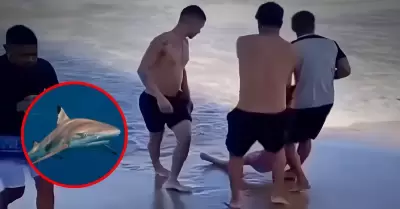 Dos ataques de tibur�n en menos de 24 horas