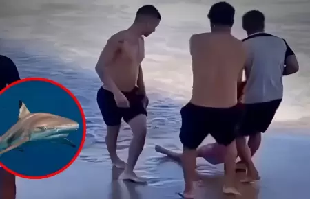 Dos ataques de tibur�n en menos de 24 horas