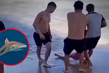 Dos ataques de tibur�n en menos de 24 horas