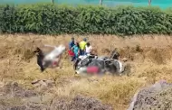 Despiste de un auto dejó dos personas fallecidas y un herido en Lambayeque: entre las víctimas se encuentran un padre y su hija