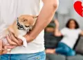 Pareja pidi� el divorcio porque sus mascotas no se llevan bien: Caso viral en redes