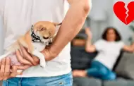 Pareja pidi� el divorcio porque sus mascotas no se llevan bien: Caso viral en redes