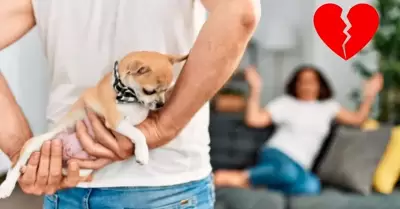 Piden el divorcio por conflicto entre sus mascotas.