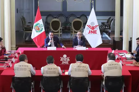 JNE se re�ne con Misi�n de Observaci�n de la OEA.