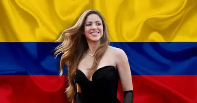 Shakira denuncia el uso de su imagen para fines pol�ticos
